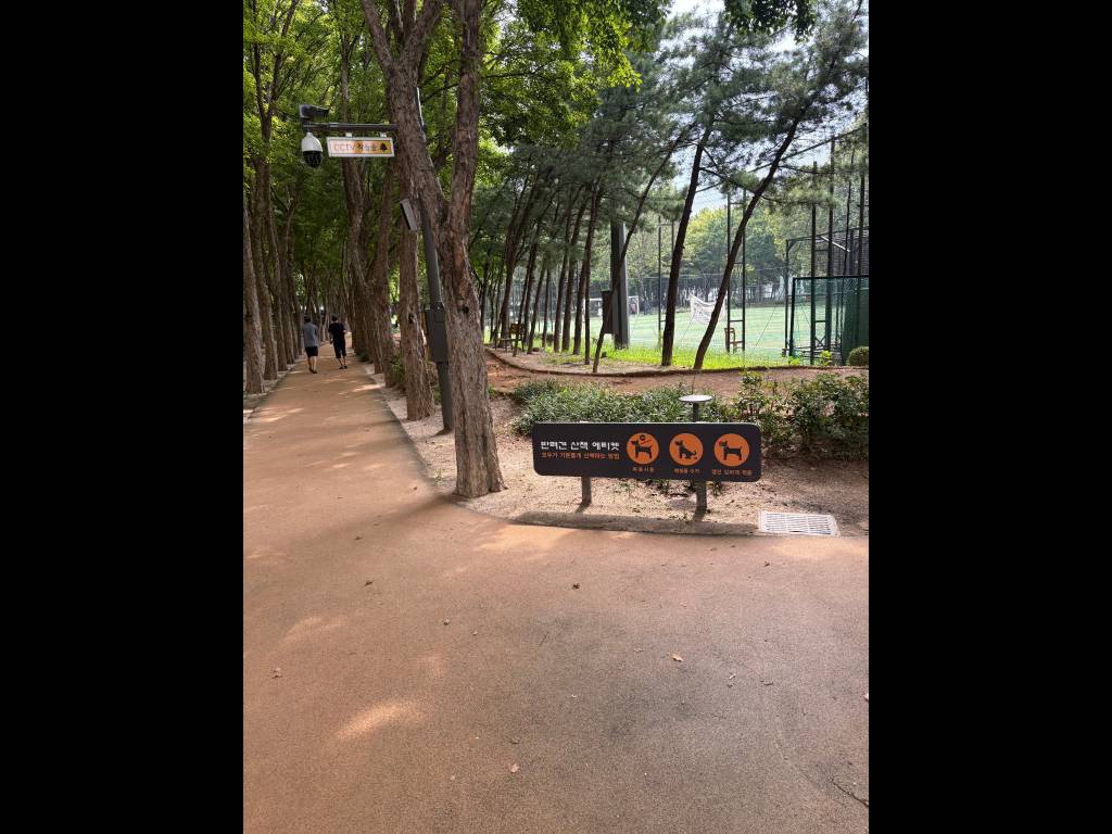 /user/h/hdsaju/editor/2511/656acecb8f524cc3fb625911db205aff_1763948948_1372.jpg 이미지크게보기