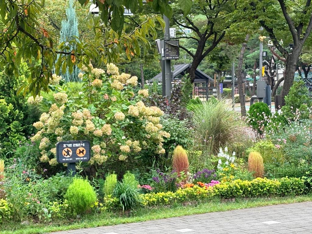 /user/h/hdsaju/editor/2511/656acecb8f524cc3fb625911db205aff_1763949040_3988.jpg 이미지크게보기