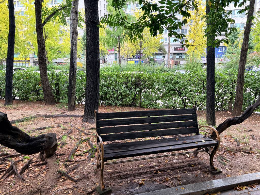 /user/h/hdsaju/editor/2511/69e425b4560e37a04e6941fcd47e8e53_1764125376_9773.jpg 이미지크게보기