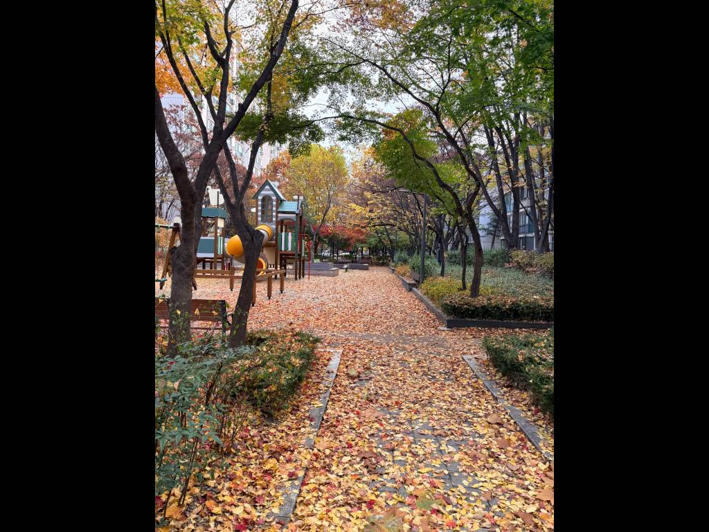 /user/h/hdsaju/editor/2511/69e425b4560e37a04e6941fcd47e8e53_1764125385_8052.jpg 이미지크게보기