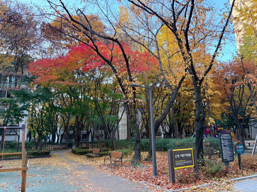 /user/h/hdsaju/editor/2511/69e425b4560e37a04e6941fcd47e8e53_1764125402_5437.jpg 이미지크게보기