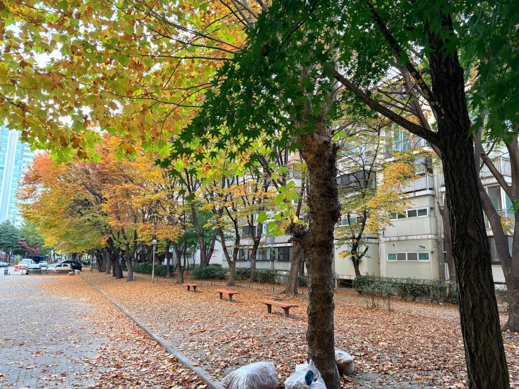 /user/h/hdsaju/editor/2511/69e425b4560e37a04e6941fcd47e8e53_1764125412_9718.jpg 이미지크게보기