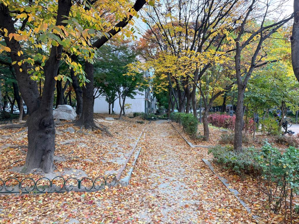 /user/h/hdsaju/editor/2511/69e425b4560e37a04e6941fcd47e8e53_1764125422_3805.jpg 이미지크게보기