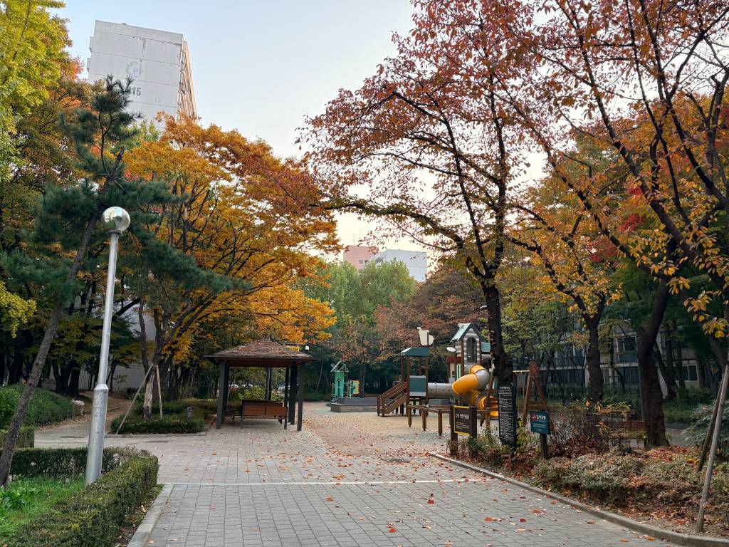 /user/h/hdsaju/editor/2511/69e425b4560e37a04e6941fcd47e8e53_1764125439_8388.jpg 이미지크게보기