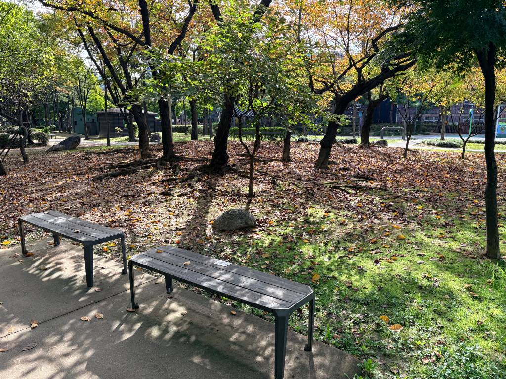 /user/h/hdsaju/editor/2511/69e425b4560e37a04e6941fcd47e8e53_1764125449_4888.jpg 이미지크게보기