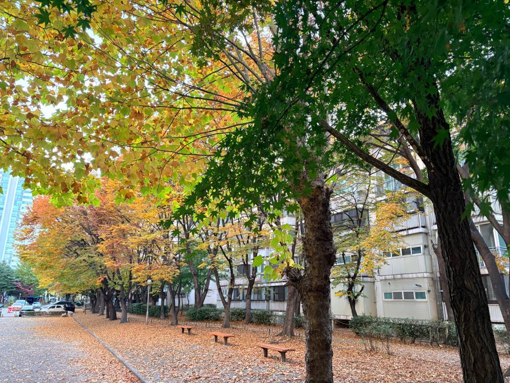 /user/h/hdsaju/editor/2512/2fe92887d17f209eebd0606725172555_1765247132_7018.jpg 이미지크게보기