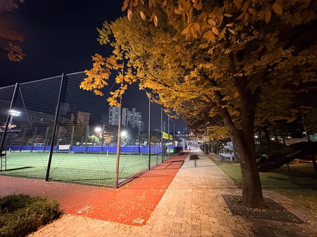 /user/h/hdsaju/editor/2512/2fe92887d17f209eebd0606725172555_1765247163_4318.jpg 이미지크게보기