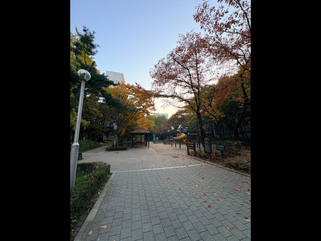 /user/h/hdsaju/editor/2601/254f98329d79955ed70ddda7ba173f1a_1768276504_369.jpg 이미지크게보기