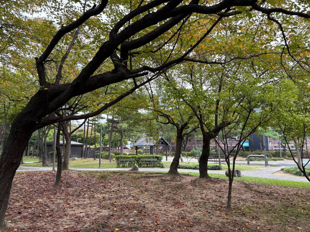 /user/h/hdsaju/editor/2601/254f98329d79955ed70ddda7ba173f1a_1768276542_2906.jpg 이미지크게보기